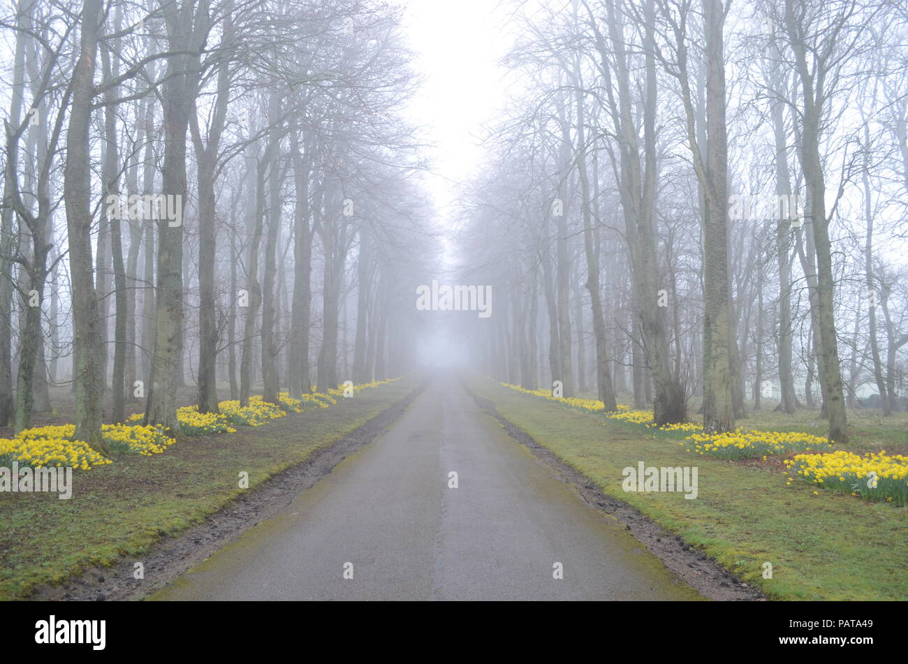 Il viale principale a Dunrobin Castle, Scotland, Regno Unito Foto Stock