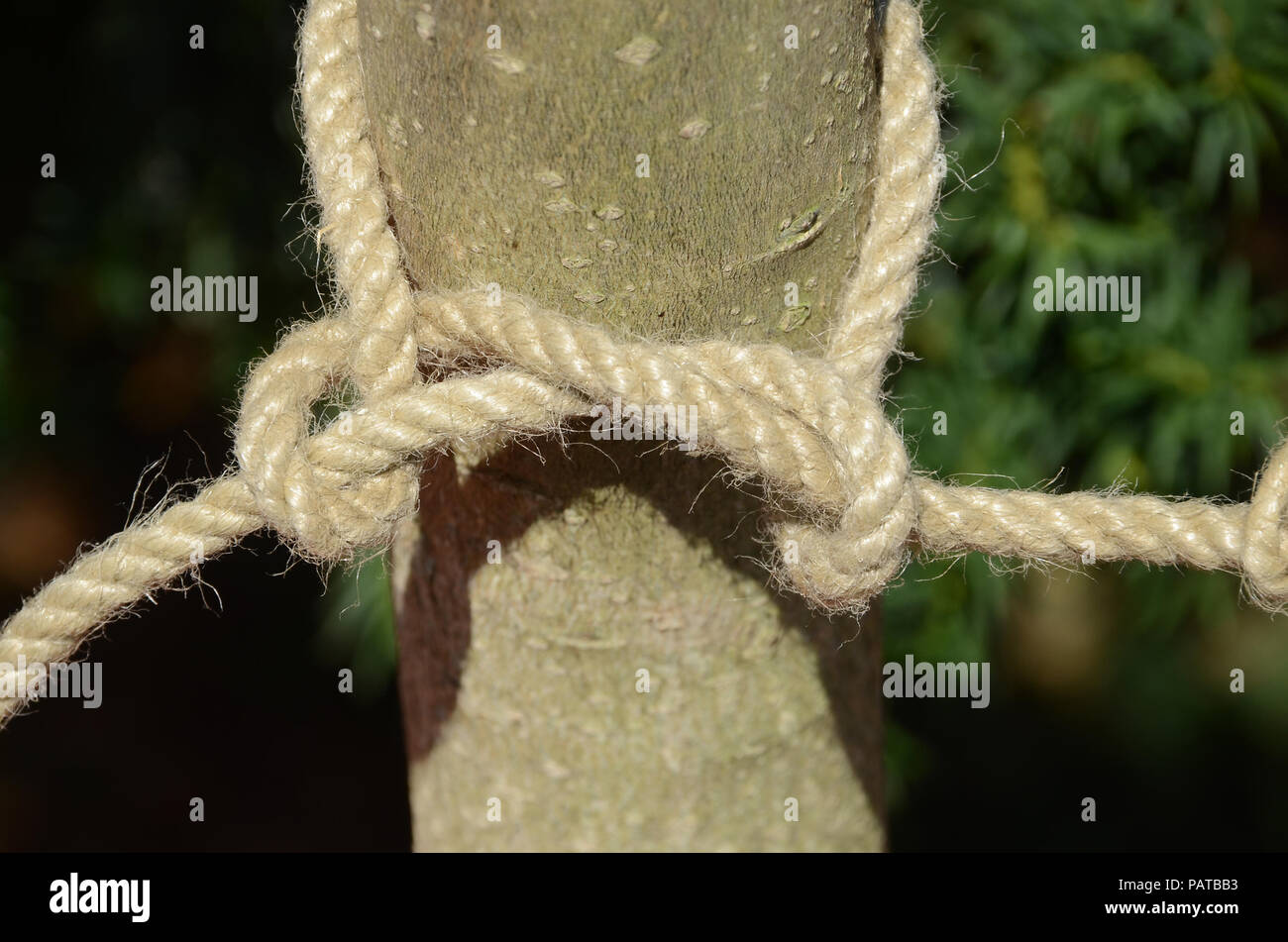 Cablaggio attacco su una corda di canapa. Foto Stock