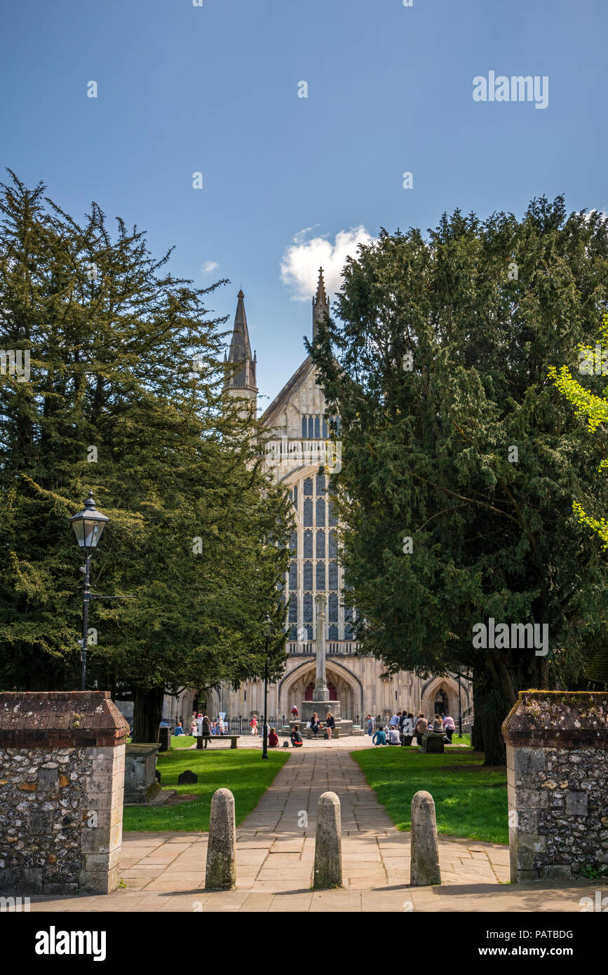 La Cattedrale di Winchester ingresso attraverso Yew alberi come visto dal grande Minster Street, Hampshire, Inghilterra. Foto Stock