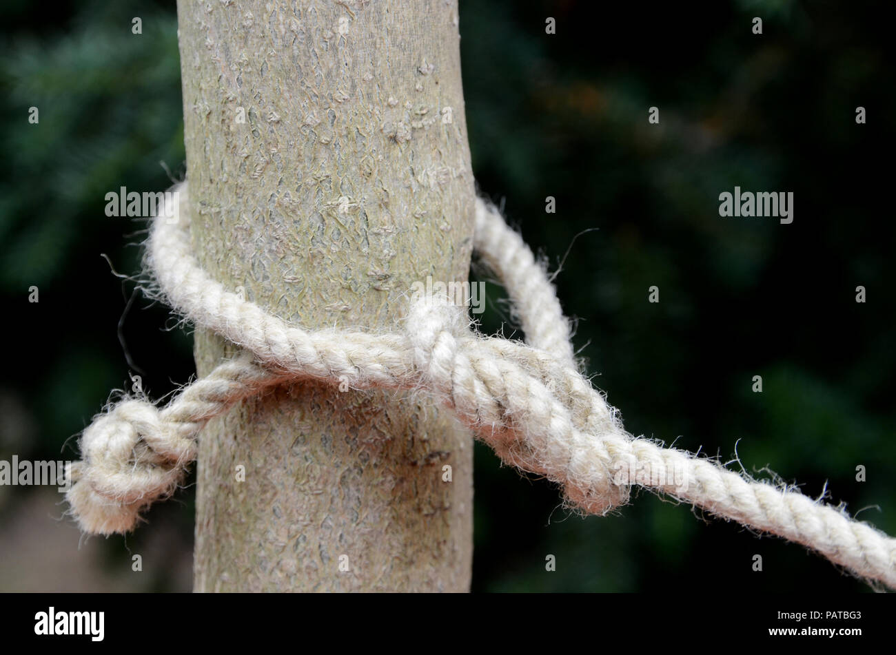 Bolina singolo attacco su una corda di canapa. Foto Stock