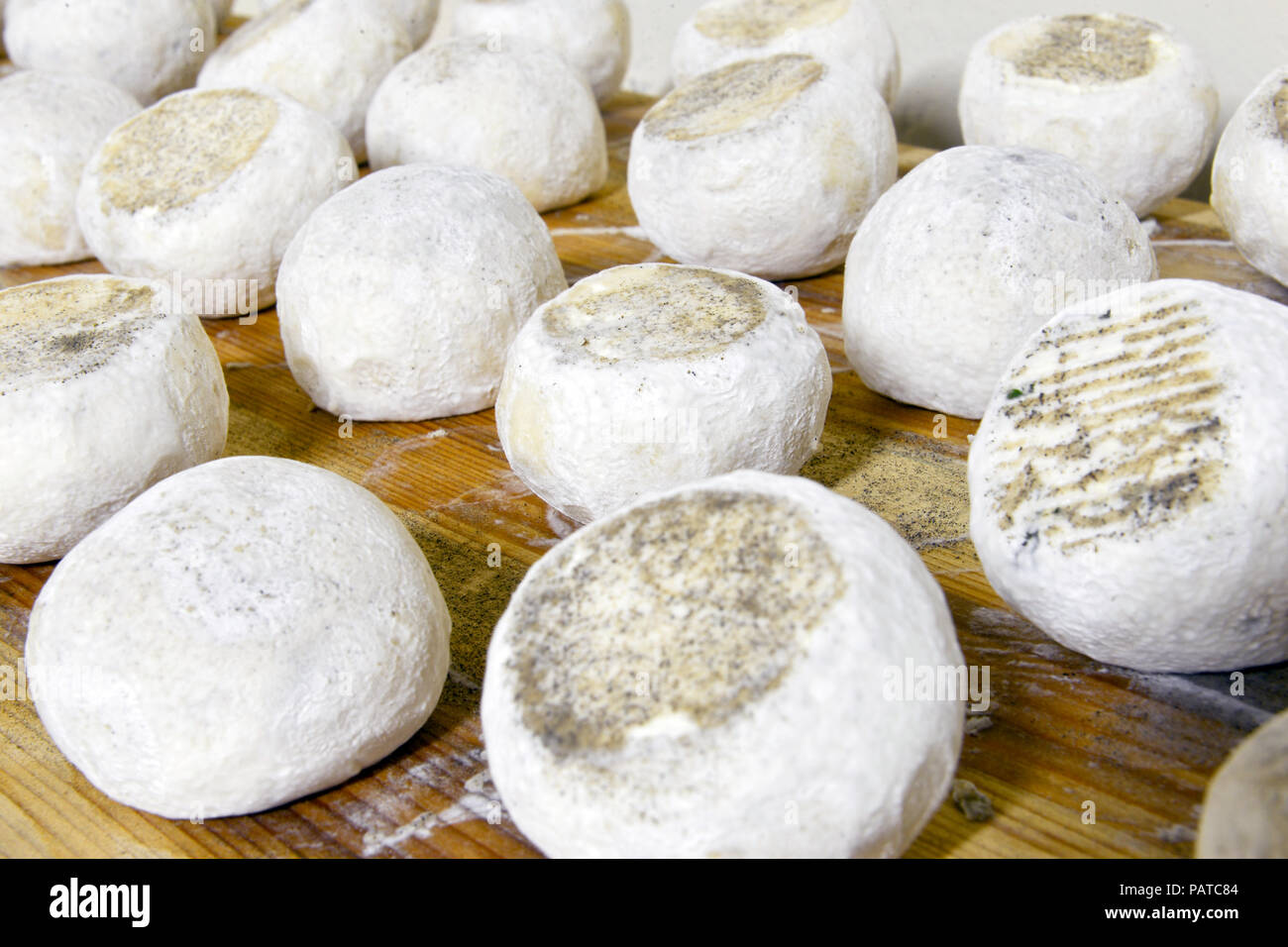Ben stagionati di capra e pecora formaggi Foto Stock