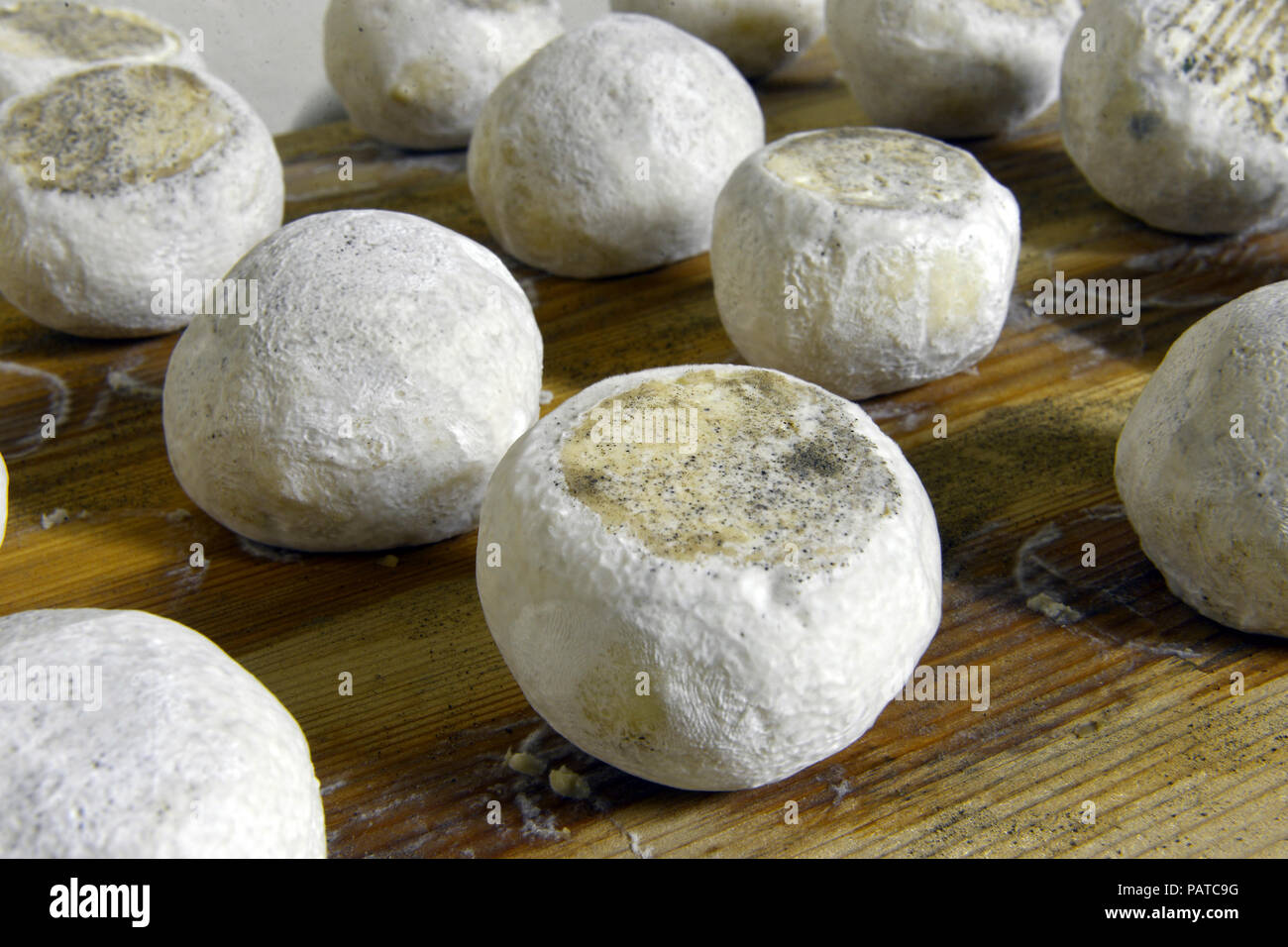 Ben stagionati di capra e pecora formaggi Foto Stock
