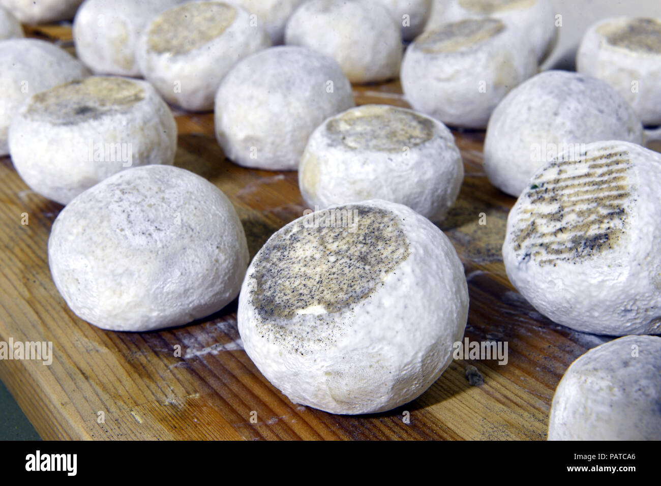 Ben stagionati di capra e pecora formaggi Foto Stock