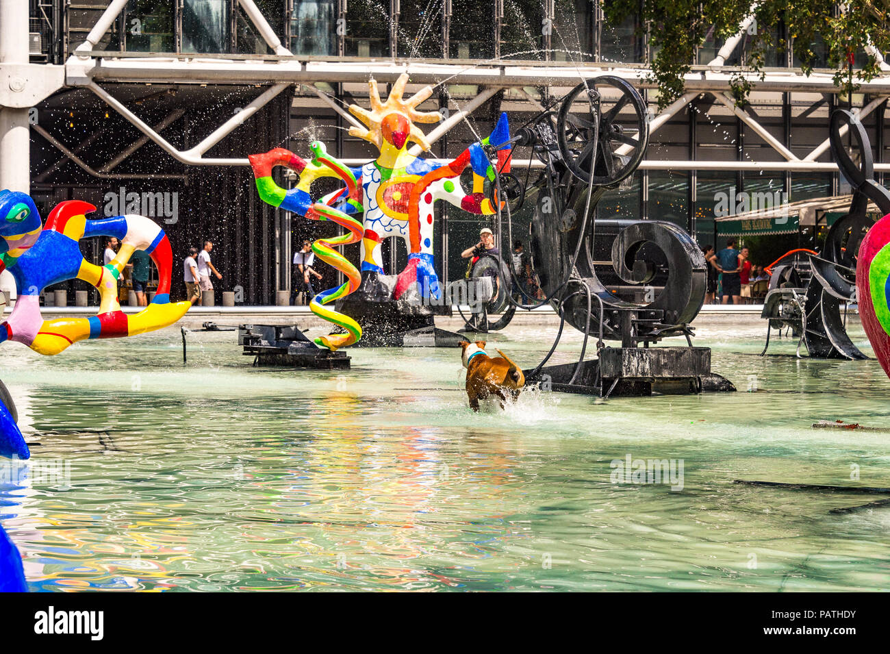 Un cane gioca nella Fontana Stravinsky, accanto al Centre Pompidou di Parigi, Francia Foto Stock