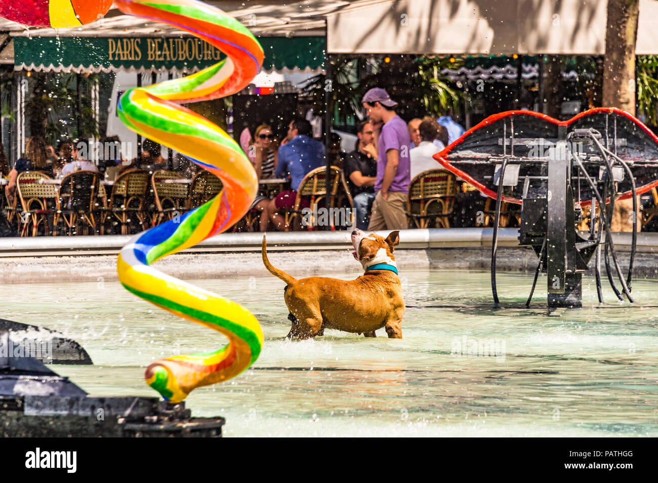 Un cane gioca nella Fontana Stravinsky, accanto al Centre Pompidou di Parigi, Francia Foto Stock