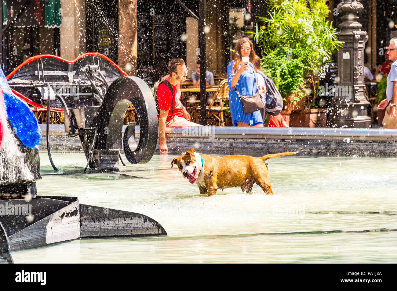 Un cane gioca nella Fontana Stravinsky, accanto al Centre Pompidou di Parigi, Francia Foto Stock