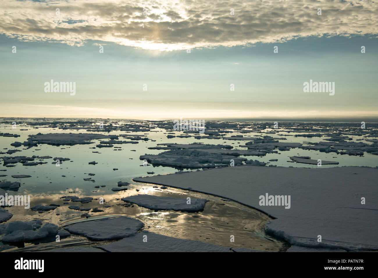 Franz-Josef paesaggio di terra Foto Stock