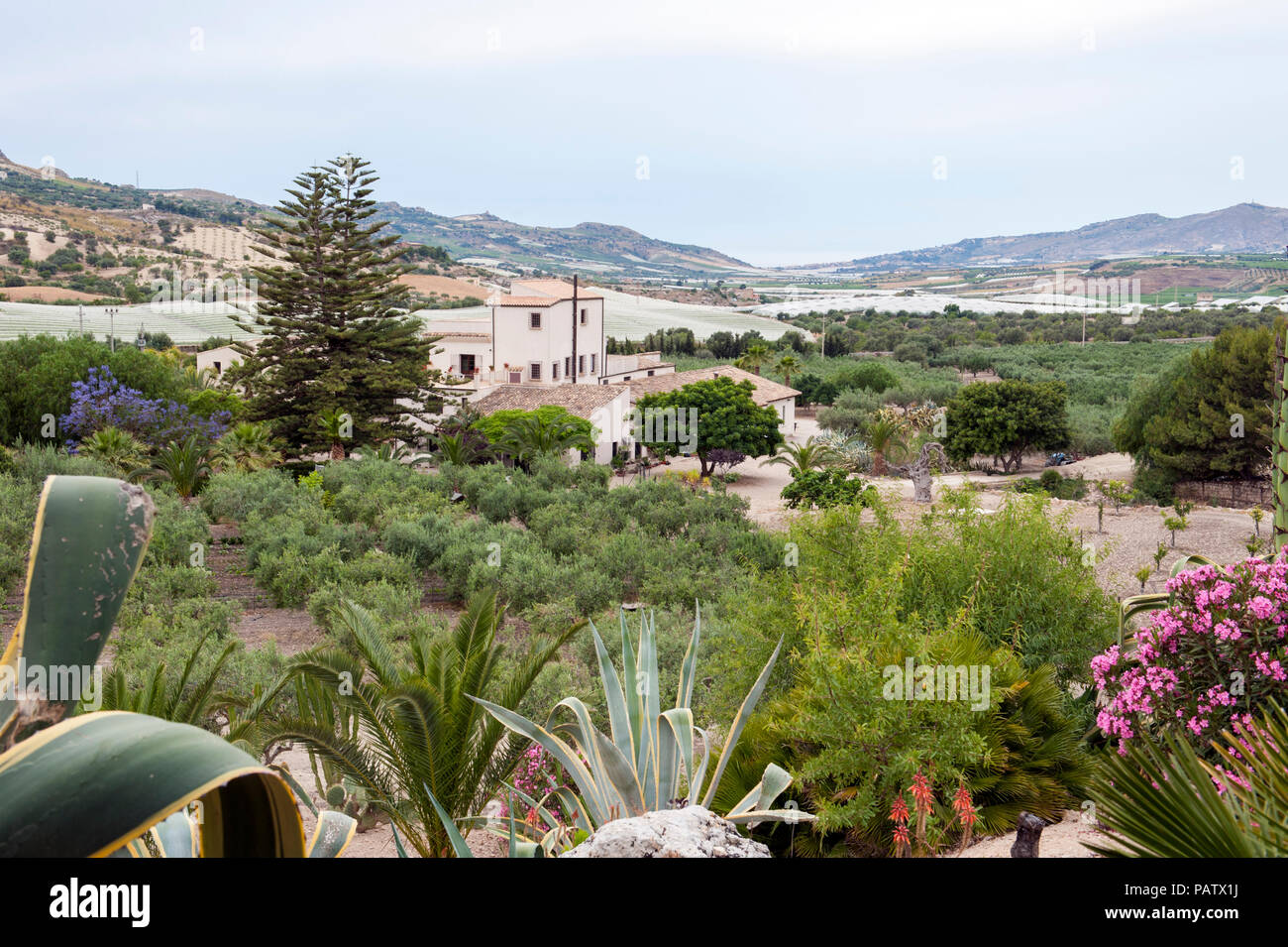 I giardini di Azienda Agricola Mandranova, un agriturismo hotel e di lavoro fattoria di oliva al di fuori della città di Agrigento in Sicilia meridionale. Foto Stock