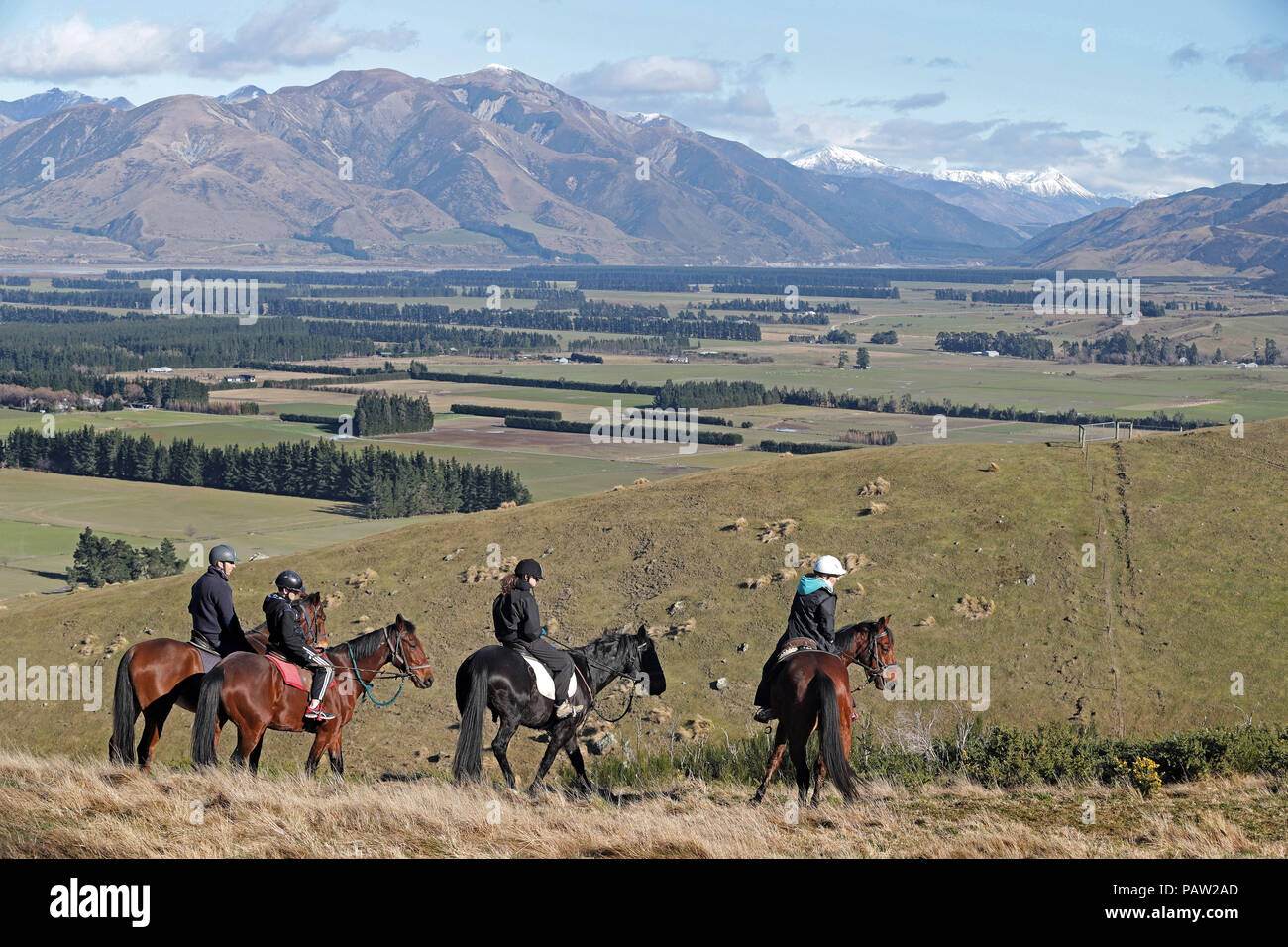 Foto di Tim Cuff - 17 Luglio 2018 - funzione di viaggio sulla stazione termale di Hanmer Springs, Hurunui District, Nuova Zelanda: trekking a cavallo con th Foto Stock