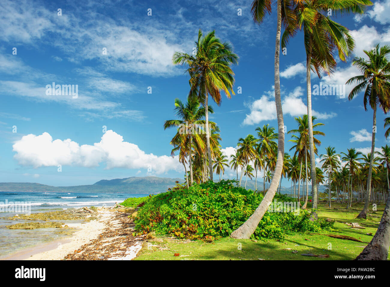 Incredibilmente pittoreschi scenic bellissimo paesaggio dei Caraibi, Repubblica Dominicana. Mare, palme, cielo blu Foto Stock