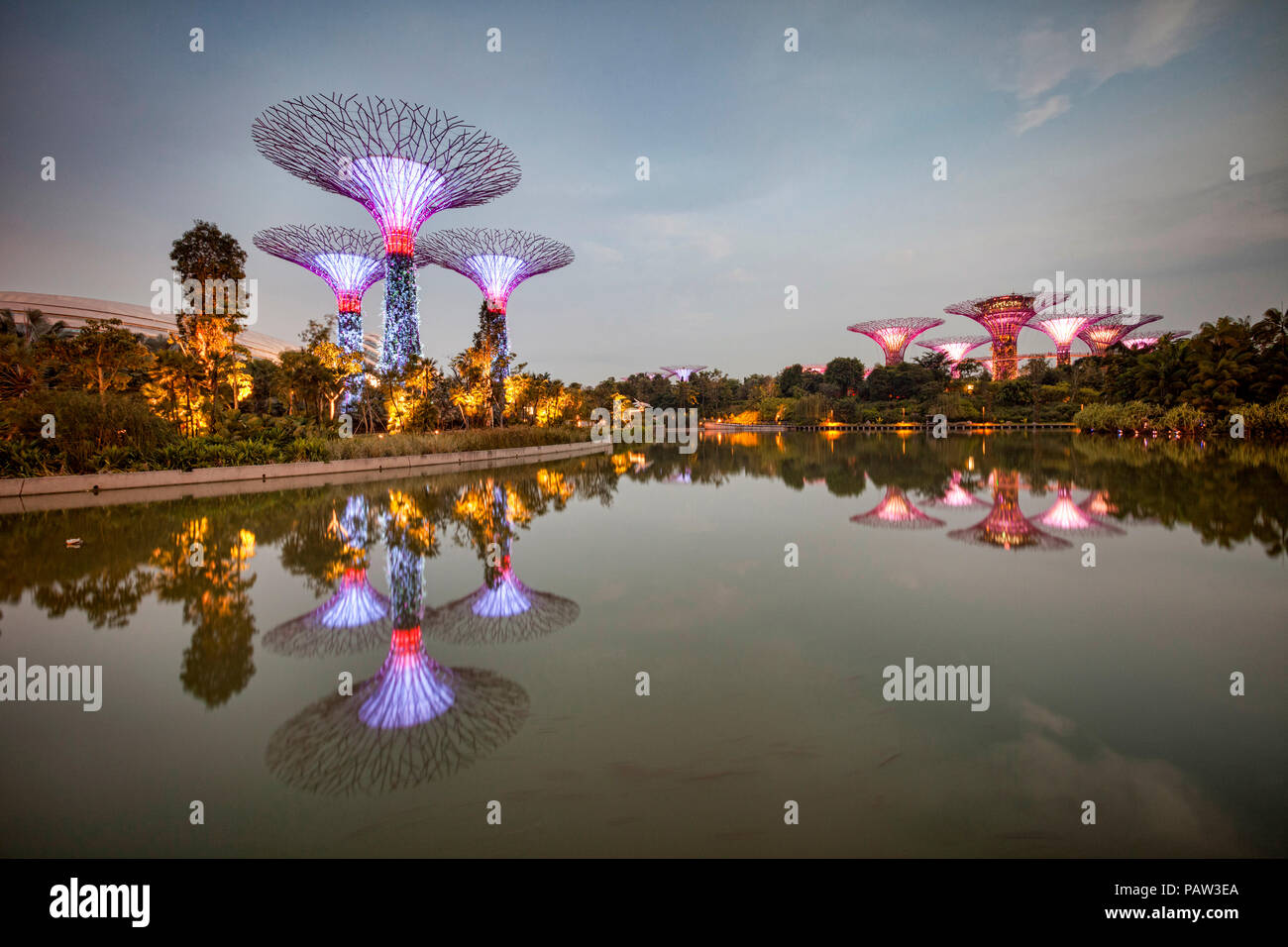 Supertrees, Singapore, illuminato al crepuscolo e si riflette nel lago di libellula, giardini dall'alloggiamento. Foto Stock