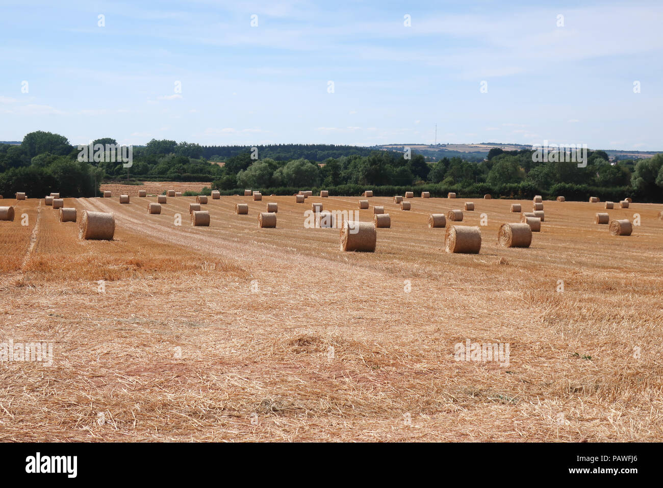 Newent Glos, Regno Unito. Il 25 luglio 2018. Gli agricoltori ottenere un avvio anticipato sul raccolto, ma rese dovrebbe essere inferiore al normale a causa della siccità. La qualità deve essere buona ma la resa inferiore comporterà un aumento dei prezzi del grano e più costosi di pane. Credito: il dott. Ian B Oldham/Alamy Live News Foto Stock