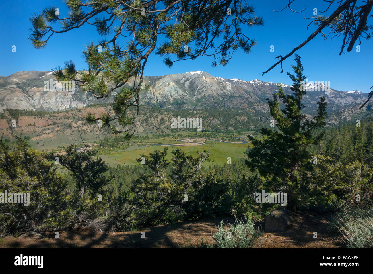 Walker lungo la valle del fiume attraverso la radura di Leavit cade Vista - Autostrada 108, California Foto Stock