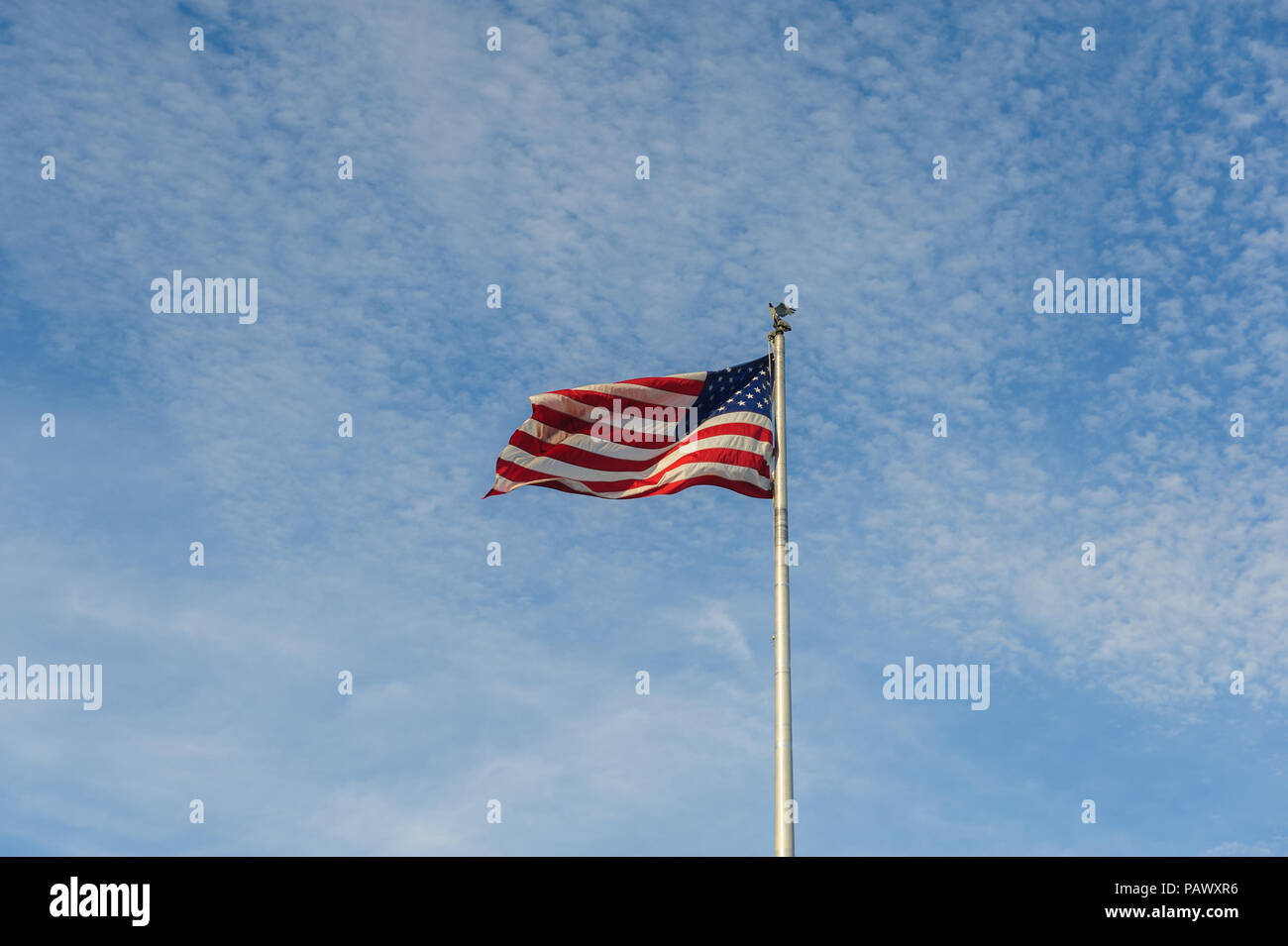 Vecchia gloria la bandiera americana Foto Stock