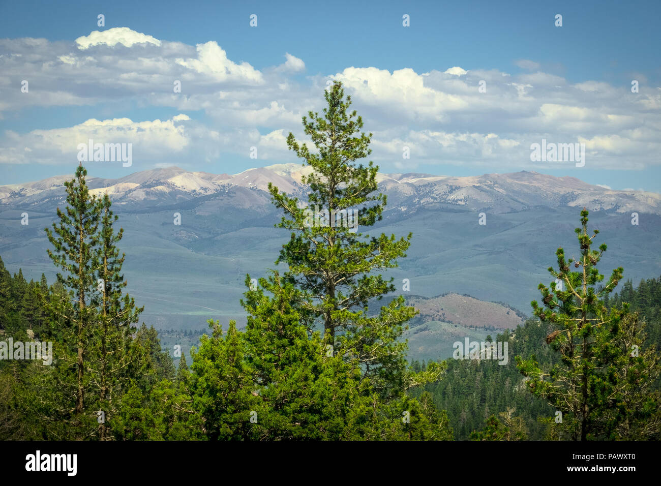 Vista della cima di una montagna sulla gamma a est di 395, preso dall'autostrada 108, California Foto Stock