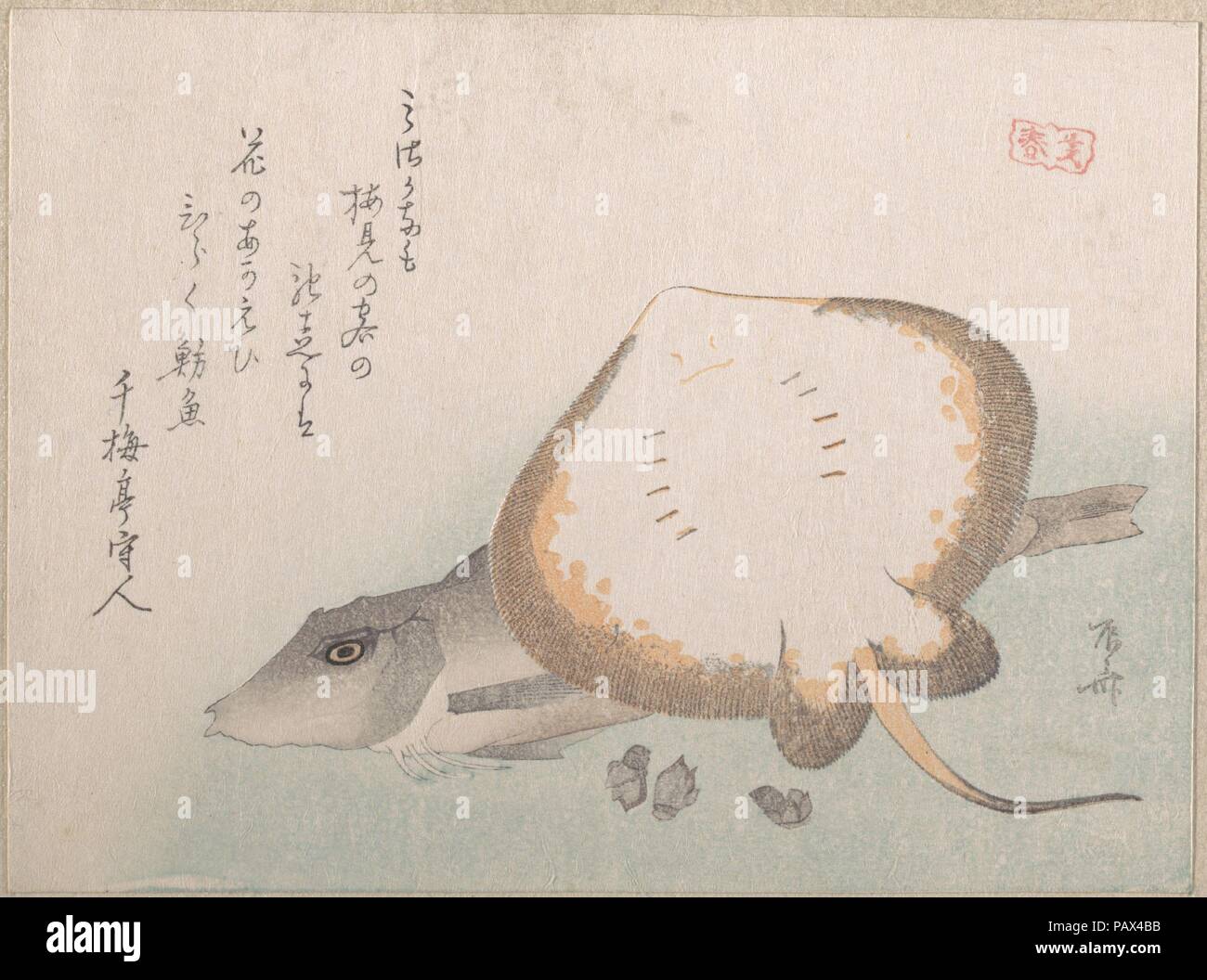 Stingray e il cappone. Artista: Ryuryukyo Shinsai (giapponese, active ca. 1799-1823). Cultura: il Giappone. Dimensioni: 5 5/8 x 7 9/16 in. (14,3 x 19,2 cm). Data: probabilmente 1815. Museo: Metropolitan Museum of Art di New York, Stati Uniti d'America. Foto Stock Stingray e il cappone. Artista: Ryuryukyo Shinsai (giapponese, active ca. 1799-1823). Cultura: il Giappone. Dimensioni: 5 5/8 x 7 9/16 in. (14,3 x 19,2 cm). Data: probabilmente 1815. Museo: Metropolitan Museum of Art di New York, Stati Uniti d'America. Foto Stock