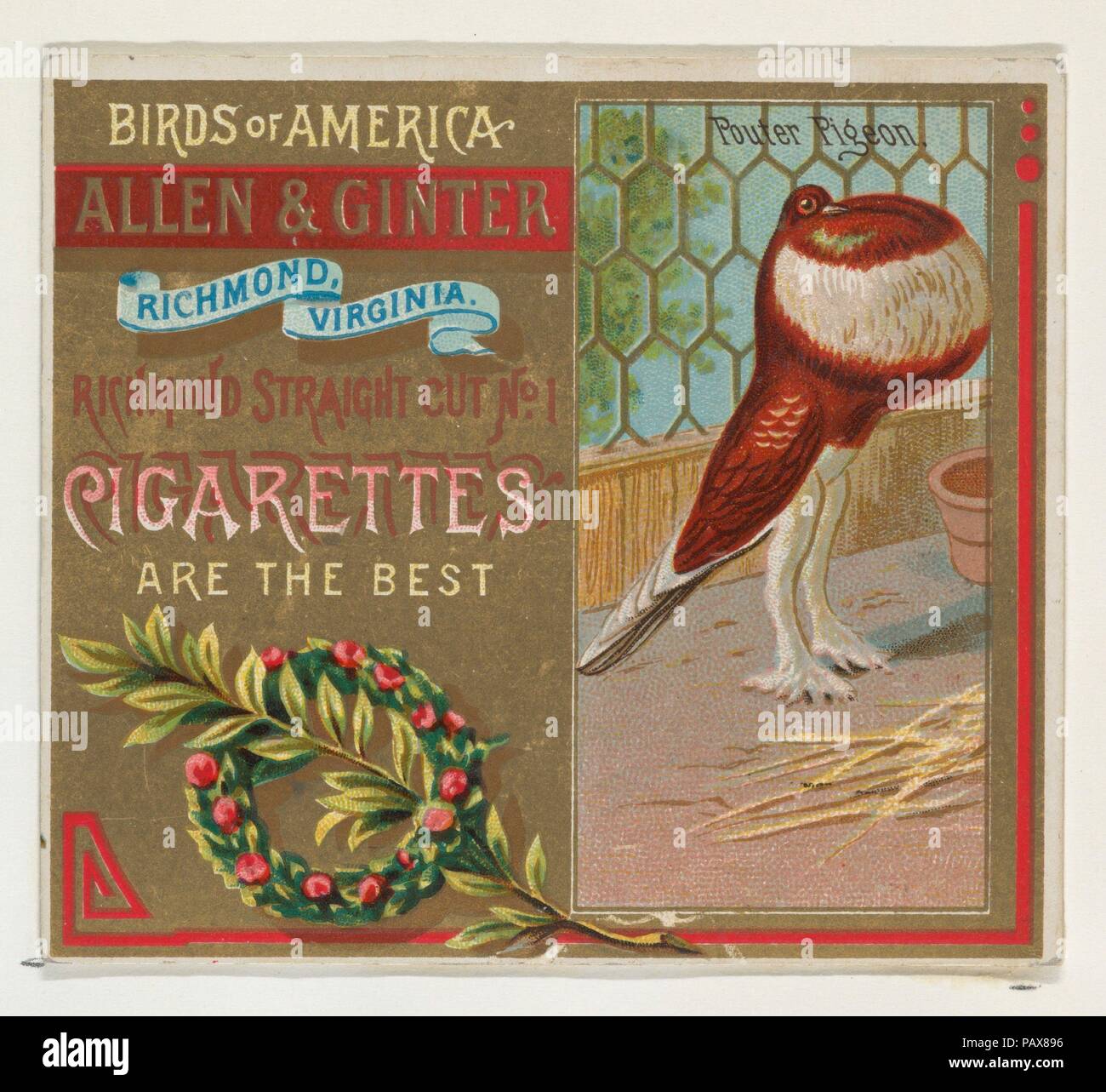 Piccione Pouter, da uccelli d'America serie (N37) per Allen & Ginter sigarette. Dimensioni: foglio: 2 7/8 x 3 1/4 in. (7,3 x 8,3 cm). Editore: Rilasciato da Allen & Ginter (American, Richmond, Virginia). Data: 1888. Scambio di carte dal 'Uccelli d'America' serie (N37), rilasciato nel 1888 in un set di 50 schede per promuovere Allen & Ginter marca di sigarette. La serie N37 riproduce le carte dalla N4 in una dimensione più grande. Museo: Metropolitan Museum of Art di New York, Stati Uniti d'America. Foto Stock