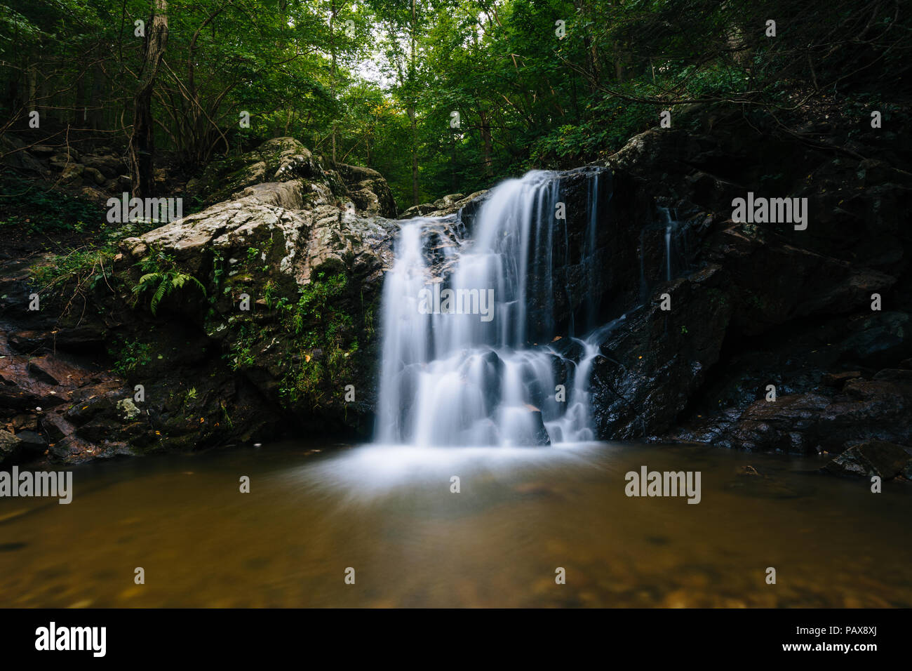 Cascata cade, a Patapsco Valley State Park, Maryland Foto Stock