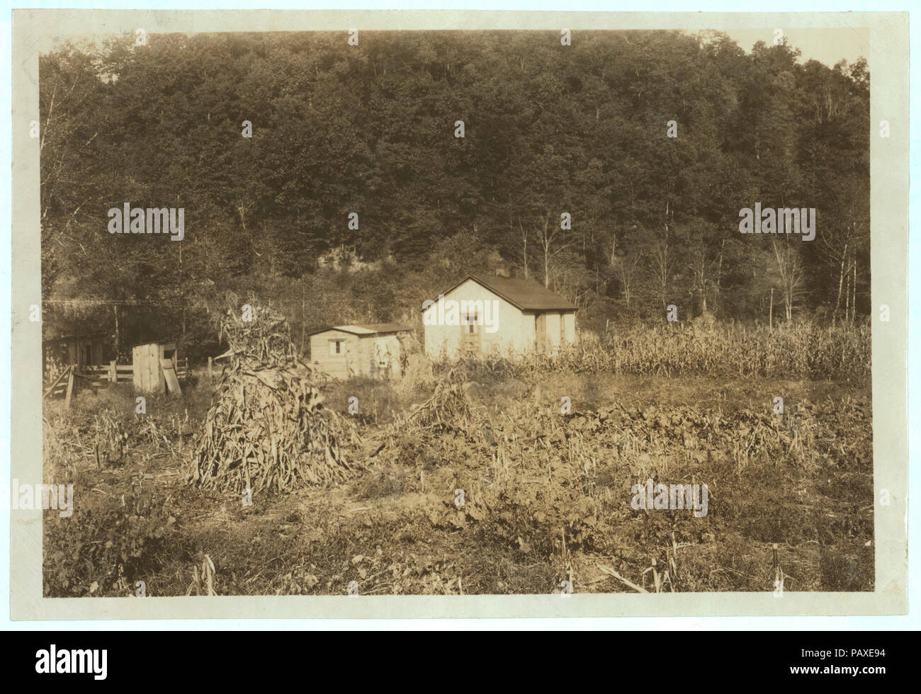 Una piccola cabina sul pendio di montagna vicino a Charleston, W. Va. vi sono molti di tali in W. Va., alcuni possedere un piccolo appezzamento di terreno e alcuni il noleggio e lo spostamento di anno in anno. Foto Stock