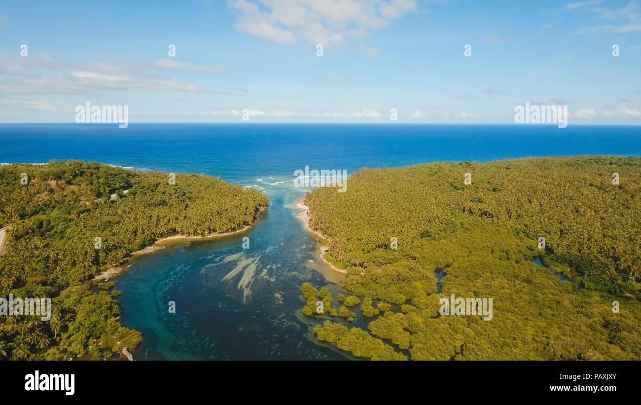 Vista aerea della foresta di mangrovie e il fiume sulla Siargao island. Giungle di mangrovie, alberi, river. Paesaggio di mangrovie. Filippine. Foto Stock