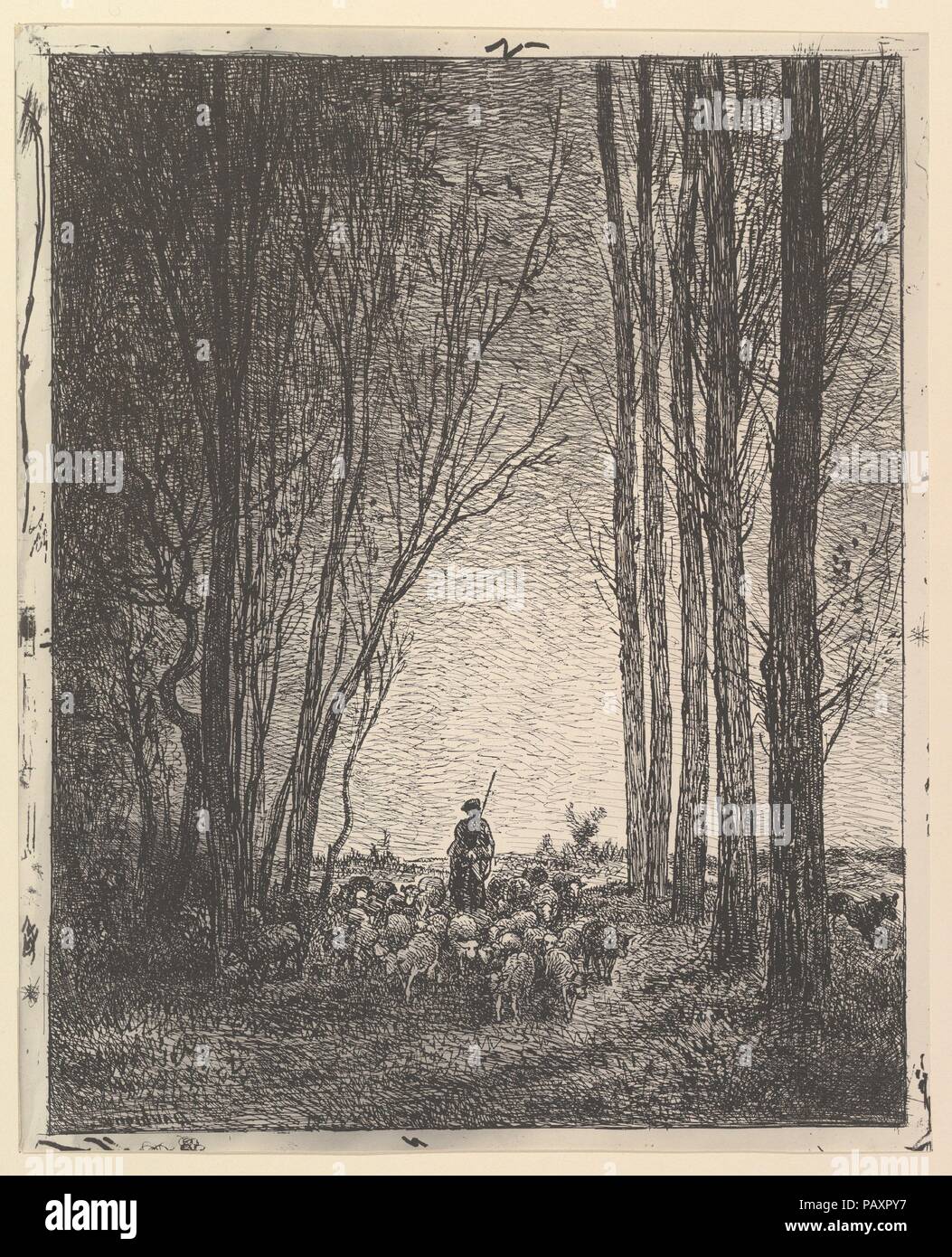 Ritorno del gregge. Artista: Charles-François Daubigny (francese, Parigi Parigi 1817-1878). Dimensioni: Immagine: 13 3/8 × 10 3/4 in. (34 × 27,3 cm) foglio: 14 a. × 11 3/8 in. (35,6 × 28,9 cm). Editore: Maurice Le Garrec (Francese, 1881-1937). Serie/Portfolio: Le Garrec stampa, 1921. Data: [1862] ristampato 1921. Museo: Metropolitan Museum of Art di New York, Stati Uniti d'America. Foto Stock