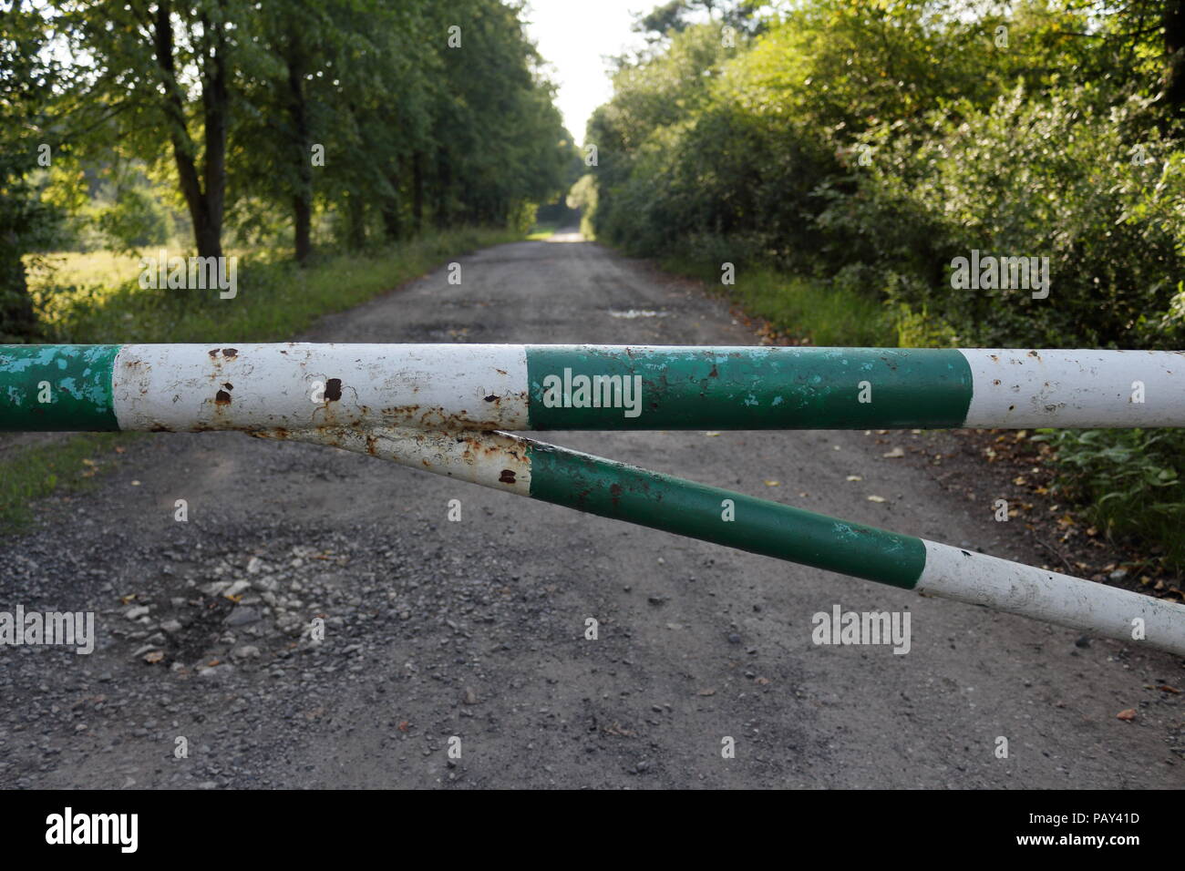 Vecchie e arrugginite barriera del veicolo sulla strada che conduce a una foresta. La strada può essere utilizzato solo dai servizi forestali e motori antincendio Foto Stock