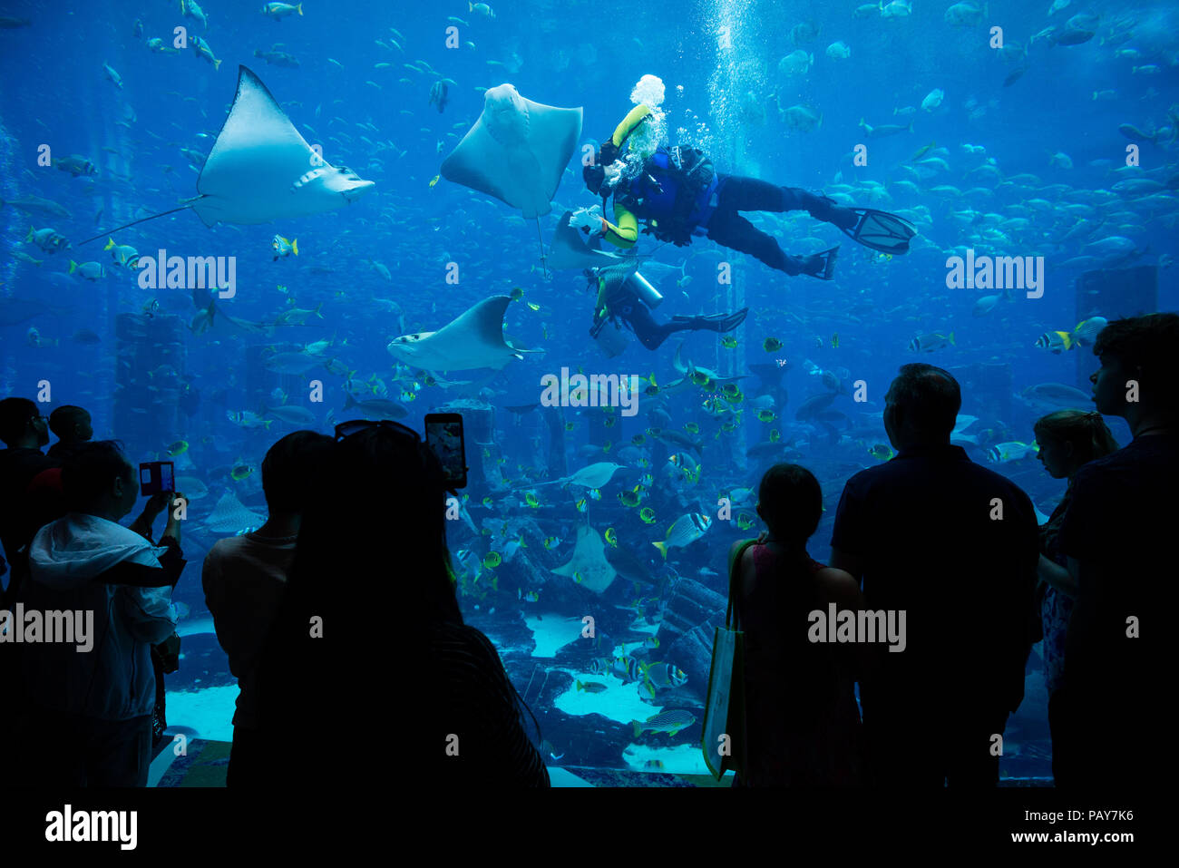 DUBAI, Emirati Arabi Uniti - 14 Febbraio 2018: persone ammirano acquario con oltre 60000 pesci, in Atlantis hotel. Capacità di acquario è di 11 milioni di litri di acqua. Du Foto Stock