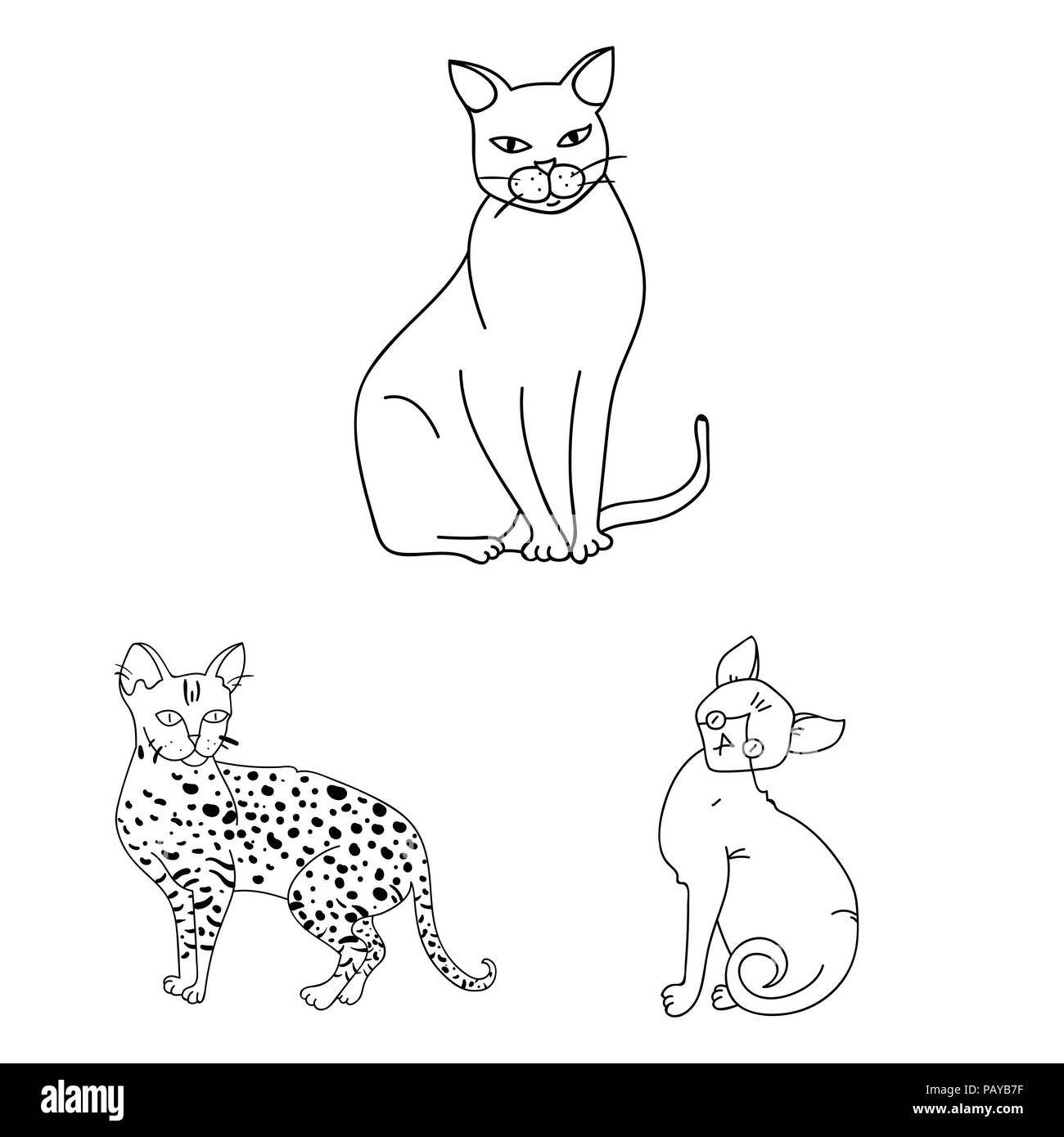 Razze di gatti delineare le icone nella raccolta di set per il design. Gatto simbolo vettore illustrazione stock. Illustrazione Vettoriale