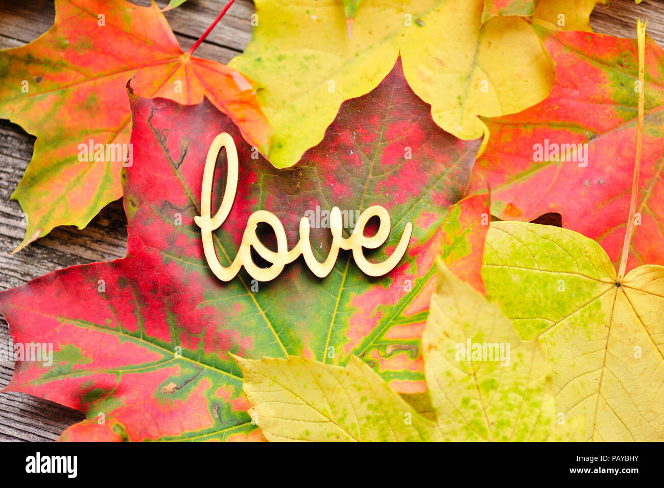 La parola amore sullo sfondo delle foglie di autunno Foto Stock