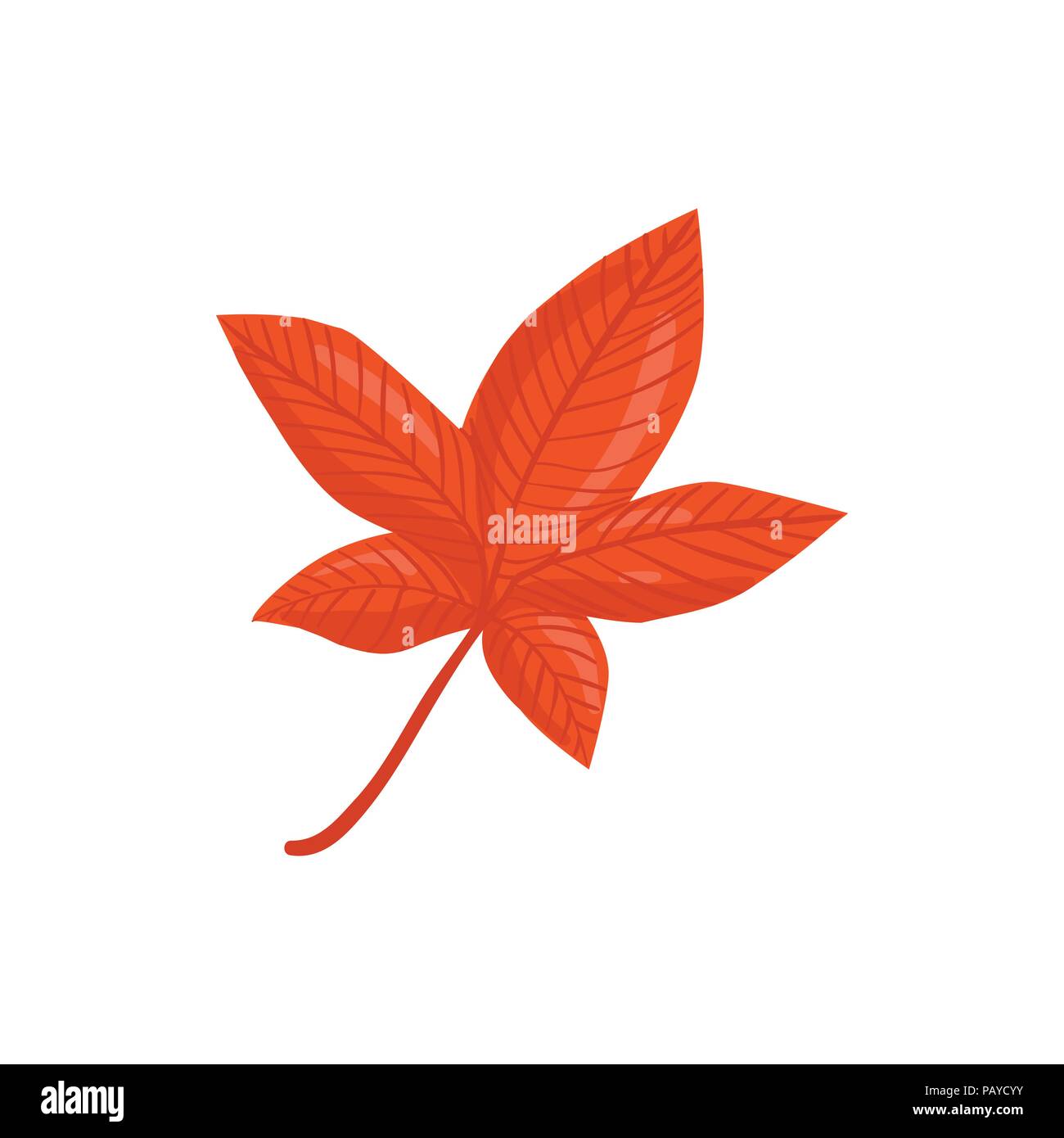 Disegnata a mano Foglia di acero. Red Leaf isolati su sfondo bianco. Illustrazione Vettoriale