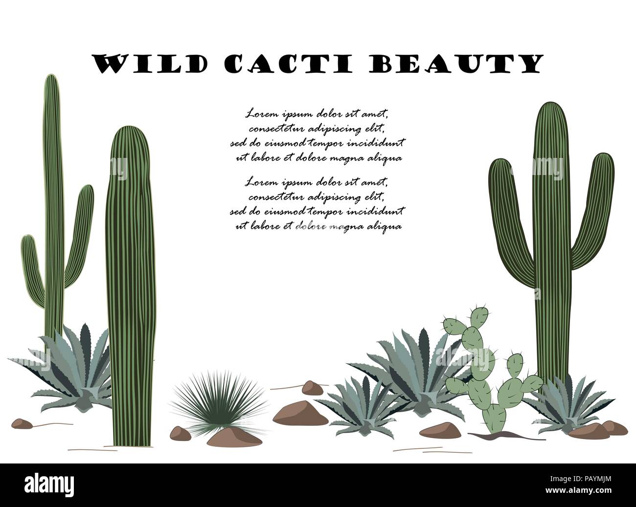 Sfondo con cactus e piante grasse set. Le piante del deserto. Illustrazione Vettoriale Illustrazione Vettoriale