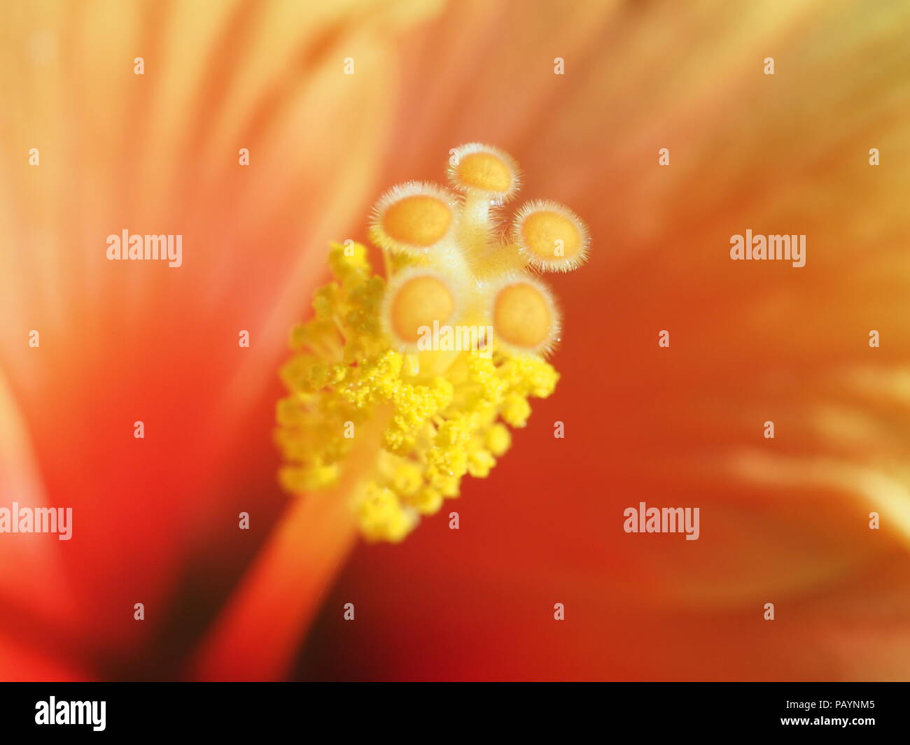 Fiore finto Girasole spray giallo per composizioni di fiori finti