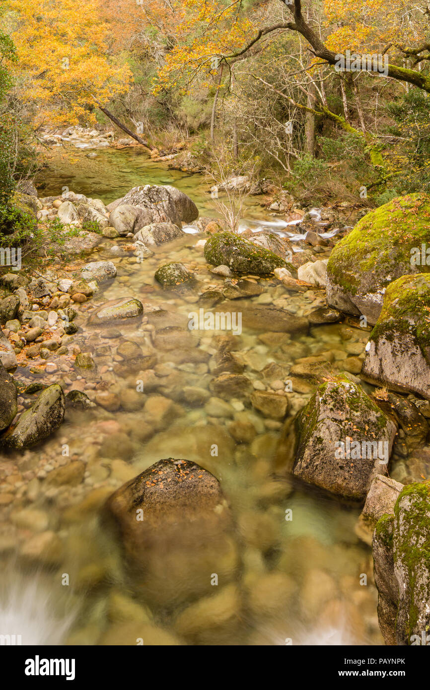 Fiume Homen cascate e. Mata da Albergaria, Geres su Geira Romana Foto Stock