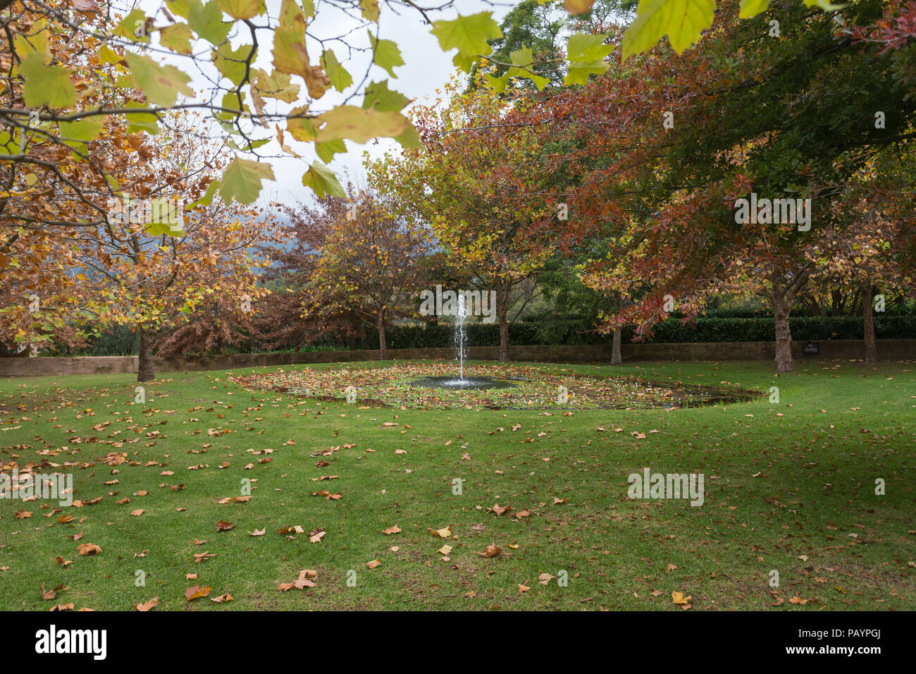 Giardino con laghetto e fontana di lavoro in autunno circondato da alberi e foglie sparse su erba e acqua in Franschhoek Cape Winelands Sud Africa Foto Stock
