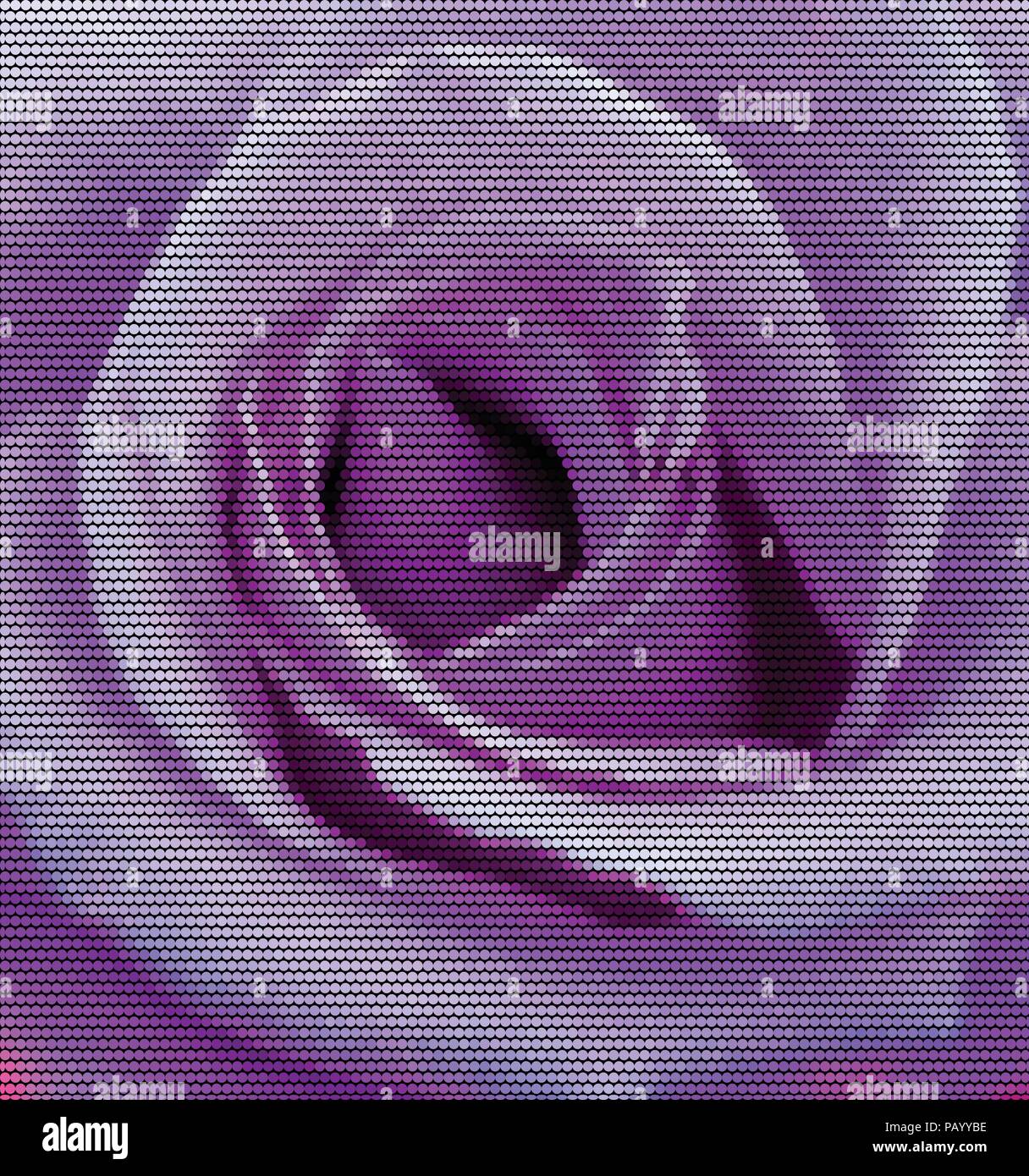 Illustrazione vettoriale di un viola rose fiore in punti. Illustrazione Vettoriale