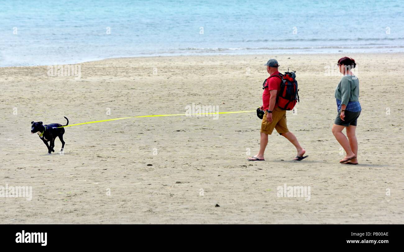 Un giovane a piedi il loro cane in una spiaggia tramite un innesto retraibile piombo, guinzaglio,Marazion,cornwall, England, Regno Unito Foto Stock