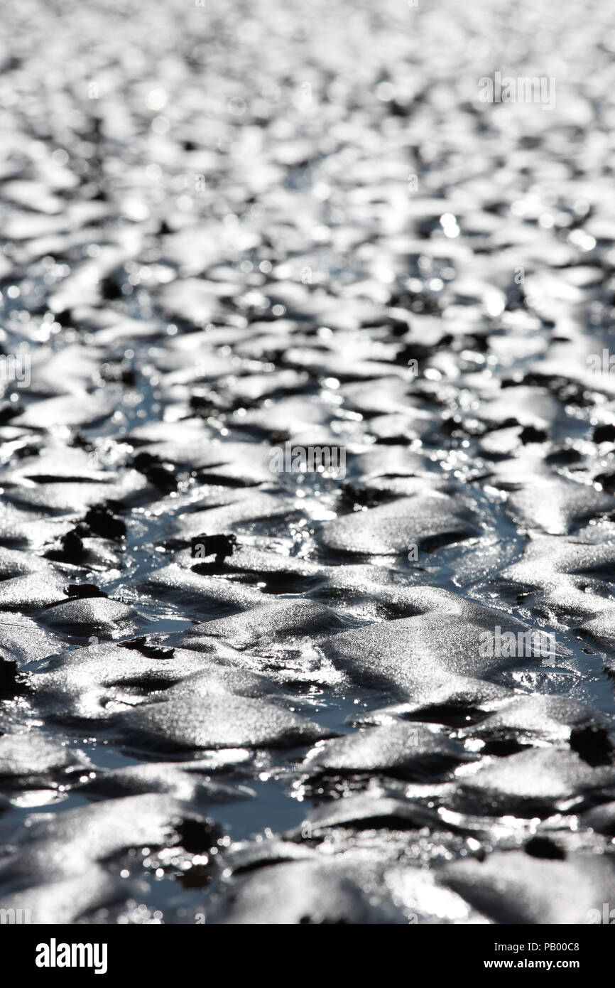 Tracce sulla spiaggia sabbiosa Foto Stock Tracce sulla spiaggia sabbiosa Foto Stock