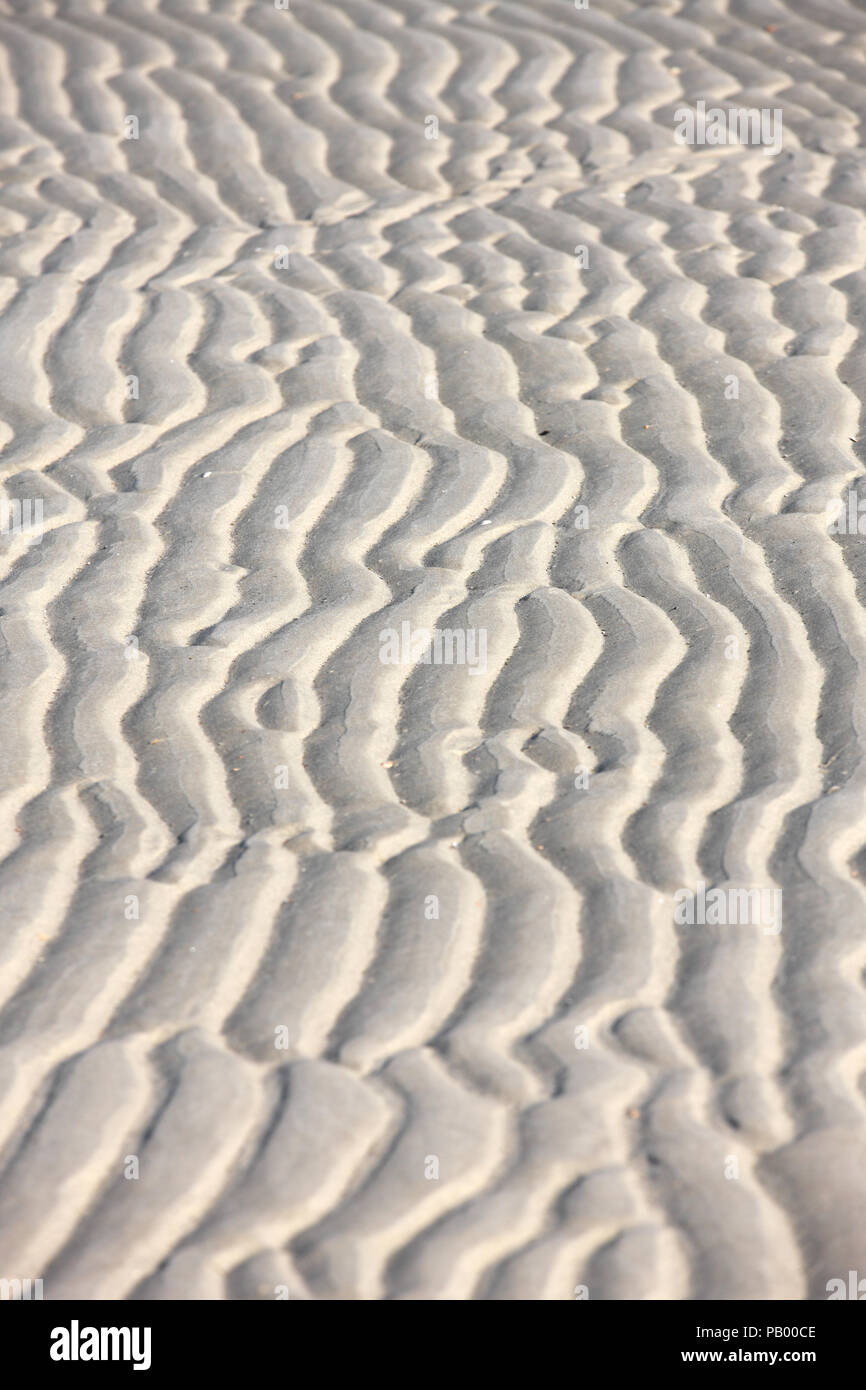 Tracce sulla spiaggia sabbiosa Foto Stock Tracce sulla spiaggia sabbiosa Foto Stock