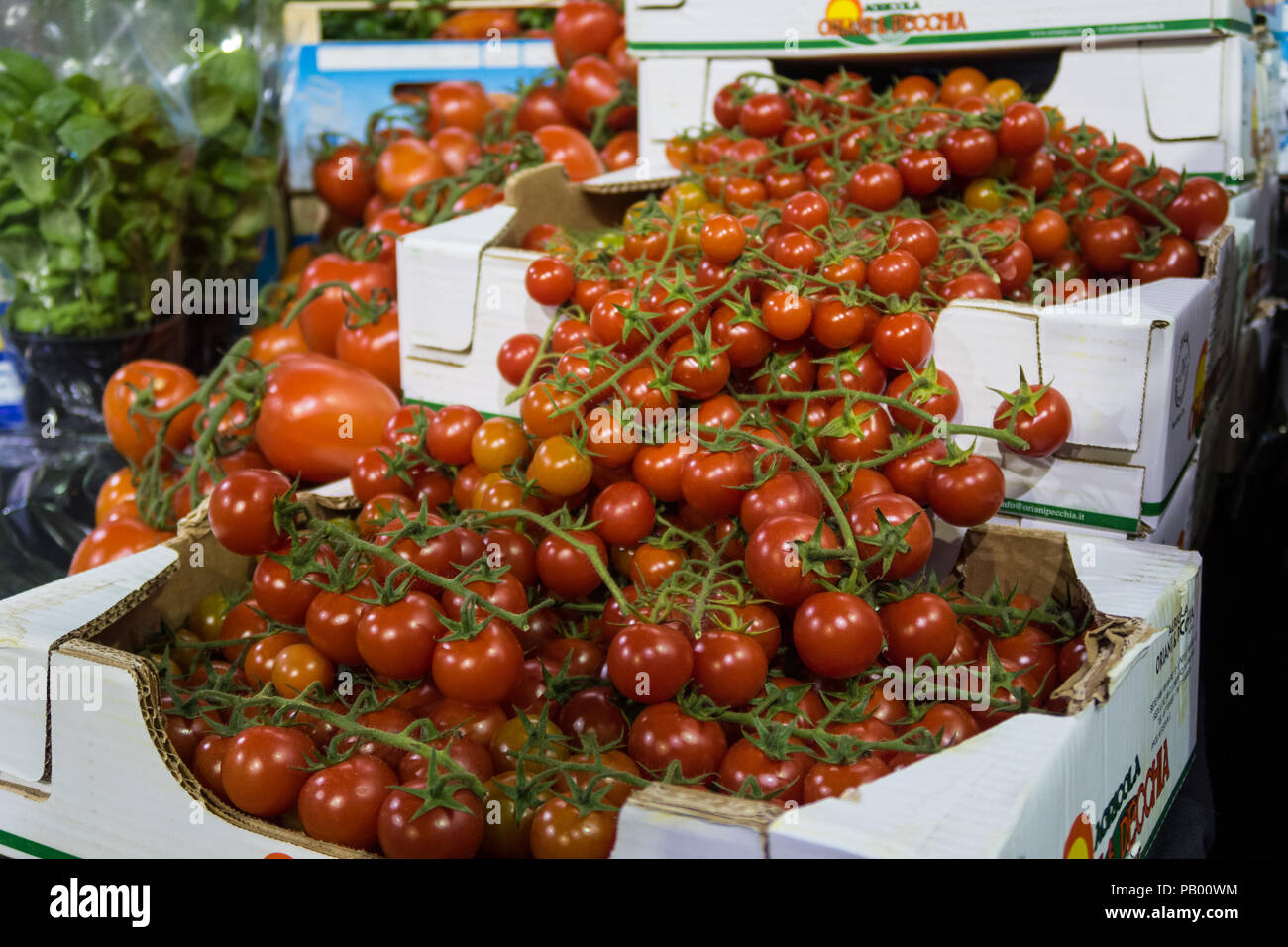 Vitigno freschi stagionati Pomodori ciliegia nelle caselle. Preso in London Borough Market, REGNO UNITO Foto Stock