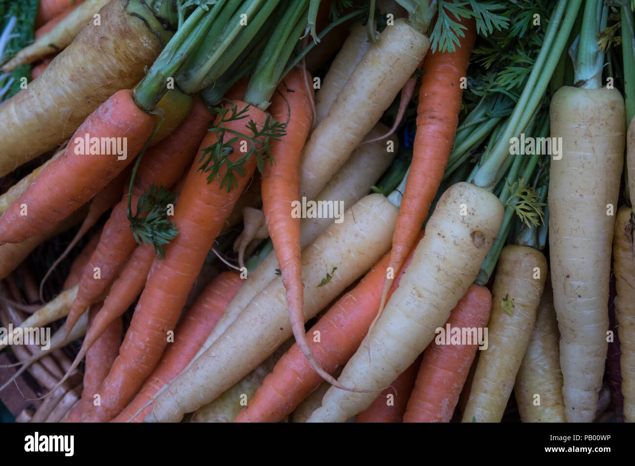 Le carote fresche in vendita in London Borough Market, REGNO UNITO Foto Stock