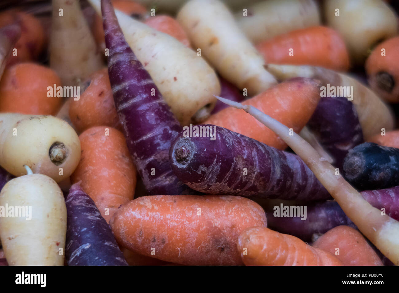 Rainbow carote sulla vendita in London Borough Market, REGNO UNITO Foto Stock