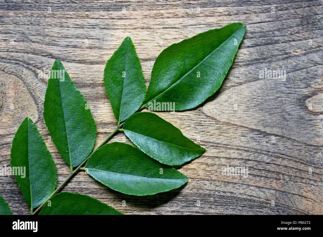 Foglie di curry su una superficie di legno Foto Stock