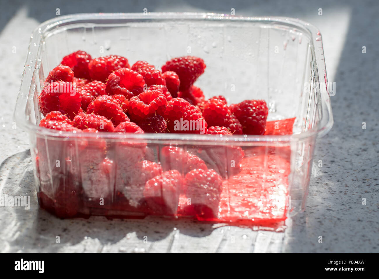 Lamponi in plastica vasca di supermercati di imballaggio. Un sano ripe rosso frutta organica in negozio hanno comprato riciclabile contenitore sul piano di lavoro della cucina. Foto Stock