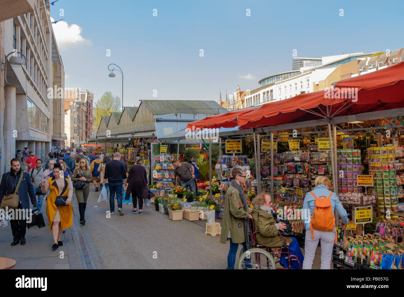 Il Bloemenmarkt nel centro di Amsterdam è il mondo solo il mercato dei fiori galleggiante Foto Stock
