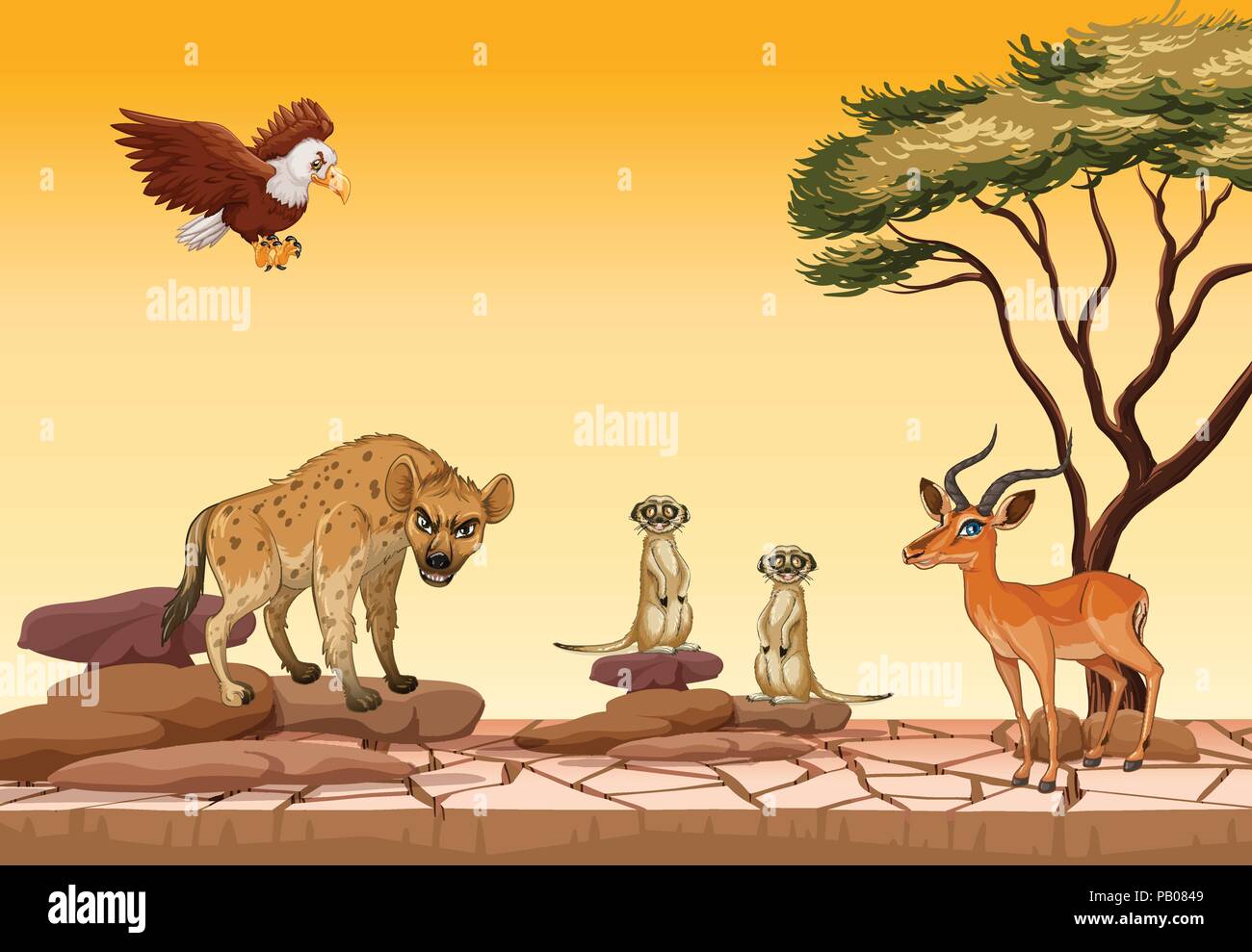 Animali selvatici in foresta secca illustrazione Illustrazione Vettoriale