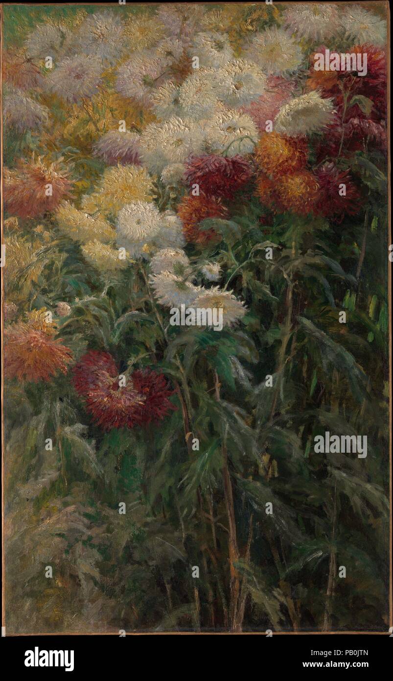 Crisantemi in giardino a Petit-Gennevilliers. Artista: Gustave Caillebotte (francese, Parigi 1848-1894 Gennevilliers). Dimensioni: 38 5/8 × 23 1/2 in. (98 × 59,8 cm). Data: 1893. Sebbene Caillebotte era un giardiniere permanente e il suo interesse in soggetti floreali non sviluppare fino al 1880. Questo lavoro di 1893 raffigura fiori che egli coltivò nella sua proprietà a Petit-Gennevilliers, una piccola città sulla Senna appena a nord-ovest di Parigi. Crisantemi sono state poi immensamente popolare in Francia, celebrata per i loro colori risplendenti e associazioni con gli esotici in Estremo Oriente. Questo insolito, close-up vie Foto Stock