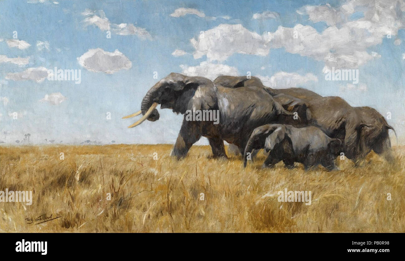 Kuhnert Wilhelm - Elefanten Auf Der Wanderung Foto Stock