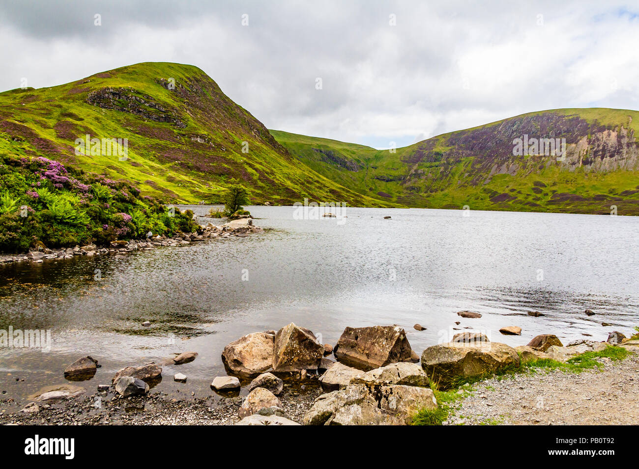 Loch Skeen nel mese di luglio con la heather fuori e condizioni atmosferiche variabili, Dumfries and Galloway, Scotland, Regno Unito. Foto Stock