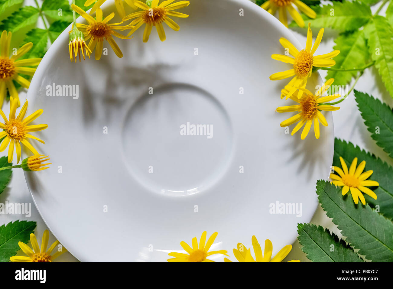 Vari coloratissimi fiori di primavera la creazione di pattern sul Piattino bianco sullo sfondo. Piatto estivo laici concetto naturale. Spazio libero Foto Stock