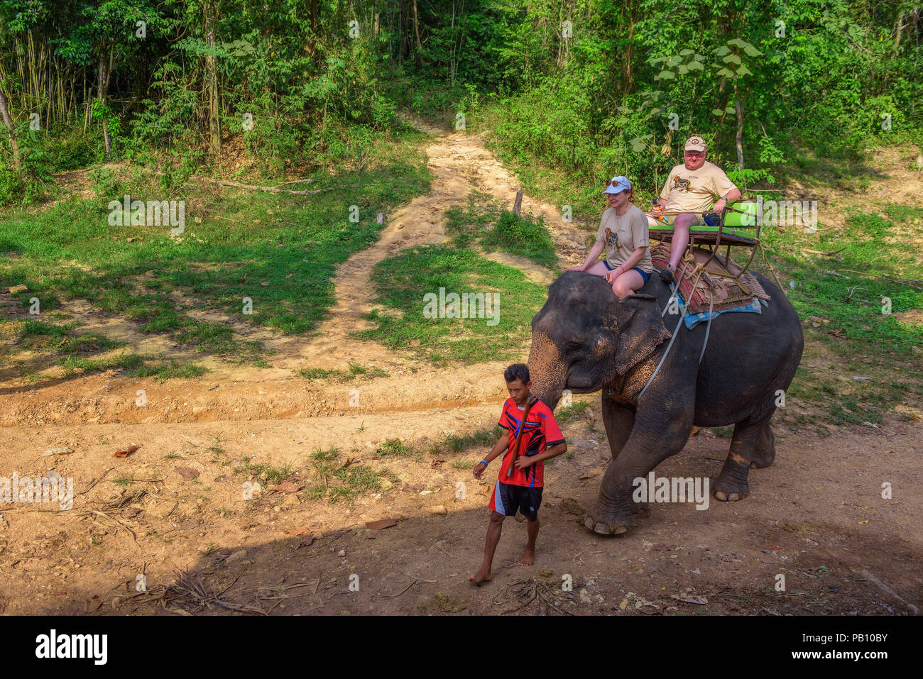 I turisti a cavallo di un elefante in Thailandia Foto Stock